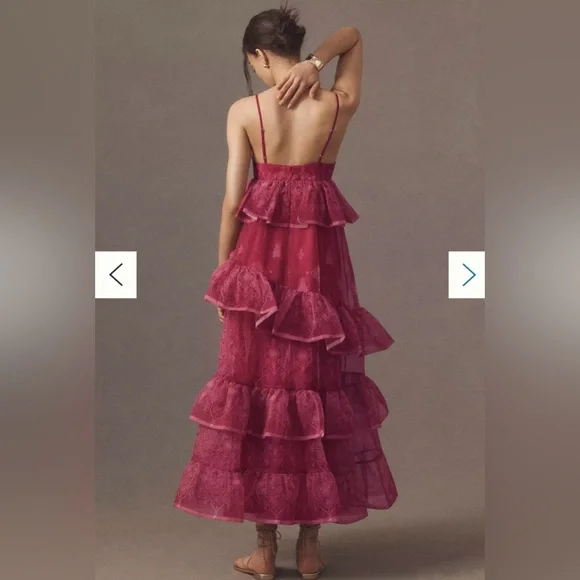 Let Me Be Sleeveless Sheer Tiered Midi Dress - Picture 2 of 3